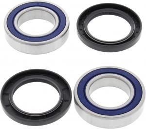 All Balls rear wheel bearings 25-1313