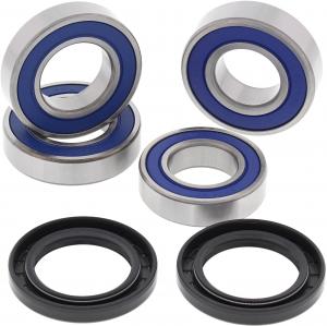 All Balls rear wheel bearing set Honda CBR 600 RA 09-18 & CBR 600 RR 07-18