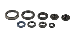 CENTAURO Oil seals set Sherco SE-R 250/300 2014-2020