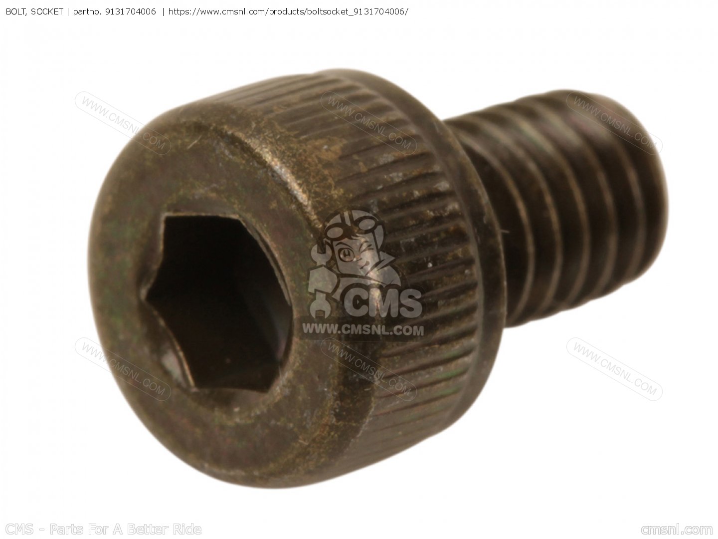 Yamaha OEM schroefje 91317-04006-00