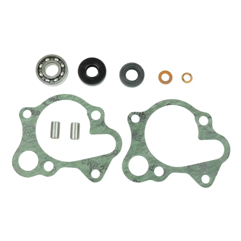 Athena Water Pump Overhaul Kit P400210348124