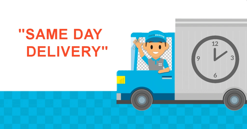 Same day delivery ( zelfde dag levering ) - MxProStoreParts