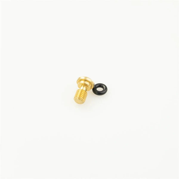 KYB Front Fork Bleed Bolt Complete Gold