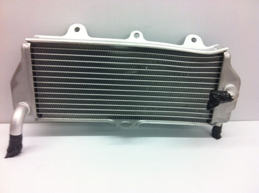 Yamaha OEM radiator 1DX-1240A-00