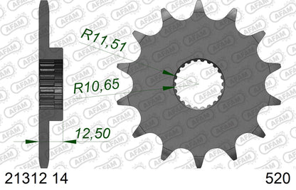 AFAM voortandwiel Yamaha YFM 250R Raptor 2008-2013 #520