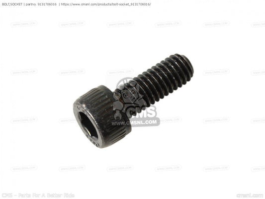 Yamaha OEM BOLT SOCKET 91317-06016-00