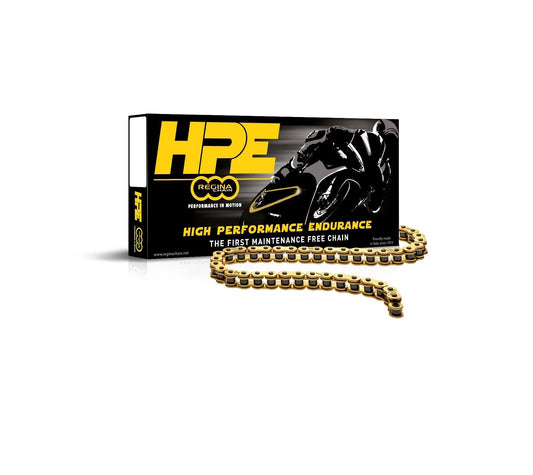 Regina HPE Z-ring chain in gold rivet-link finish, displayed with its box