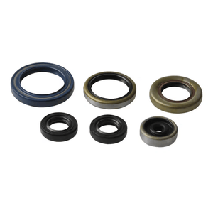 Athena Kit de joints de bloc d'huile P400270400013