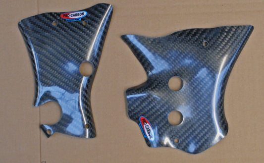 Pro Carbon framebeschermers Suzuki RM 125 2004-2008
